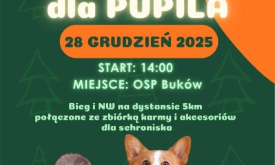 BIEG I KIJE DLA PUPILA – pomaganie ma moc! 