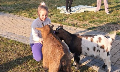  W Bukowie było wesoło i bardzo nietypowo!