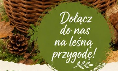 Grzybobranie!